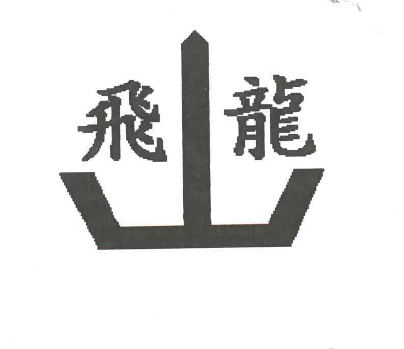 飞龙