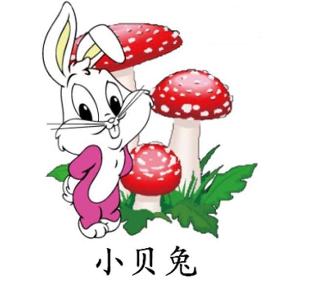 小贝兔