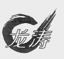 龙涛