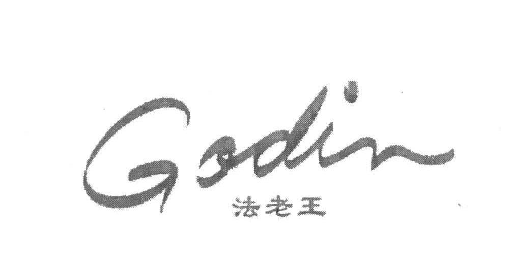 法老王 GODIN