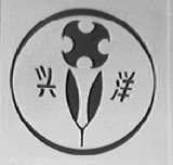 兴洋