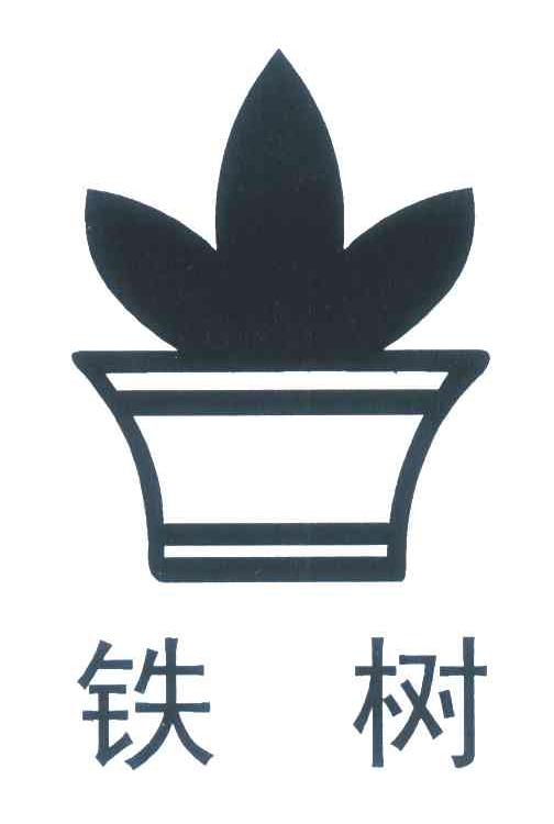铁树