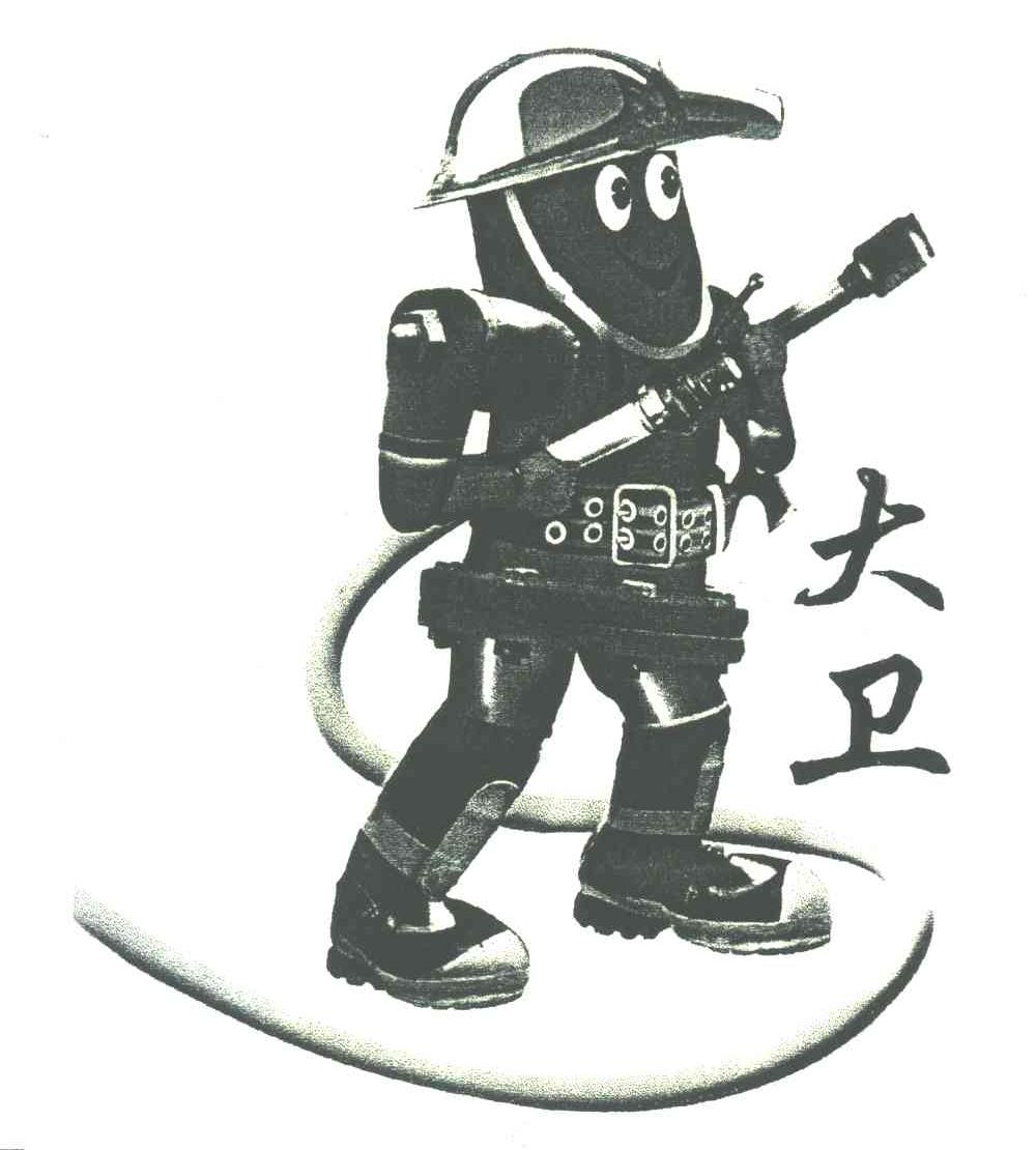 大卫