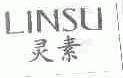 灵素;LINSU