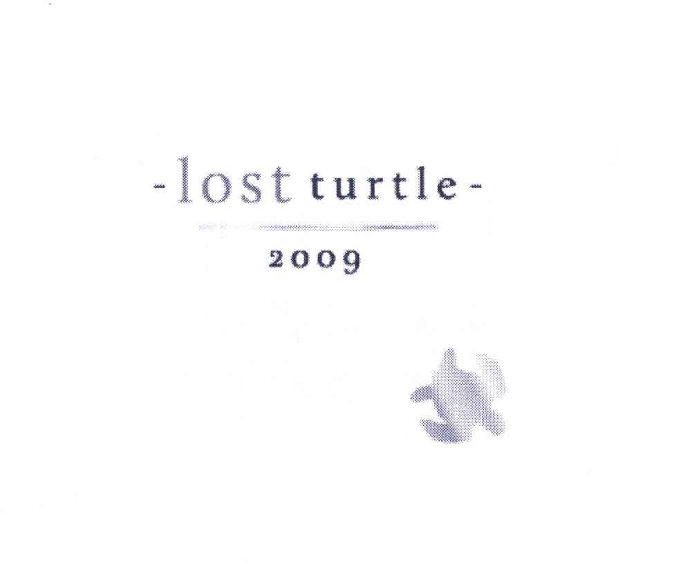 LOST TURTLE 2009