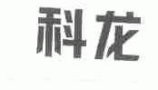 科龙