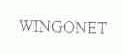 WINGONET