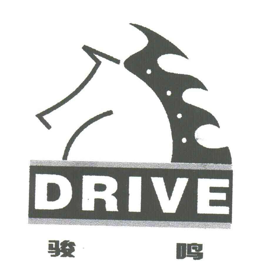 骏鹏;DRIVE