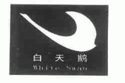白天鹅;WHITE SWAN