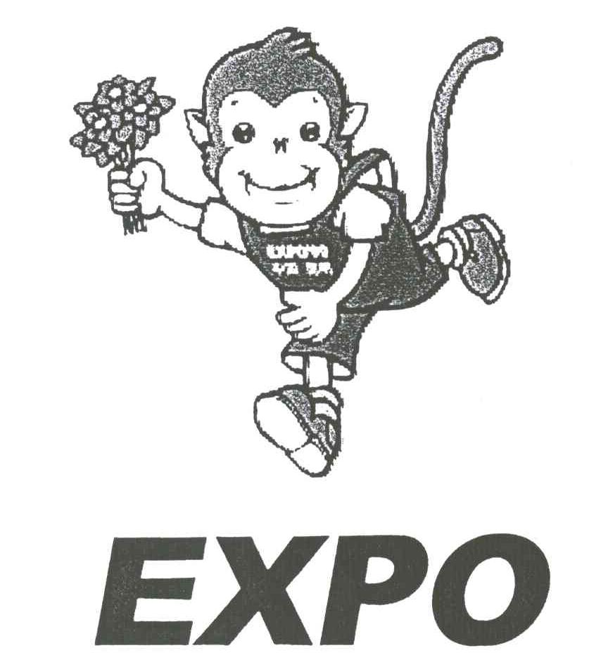 EXPO及图形