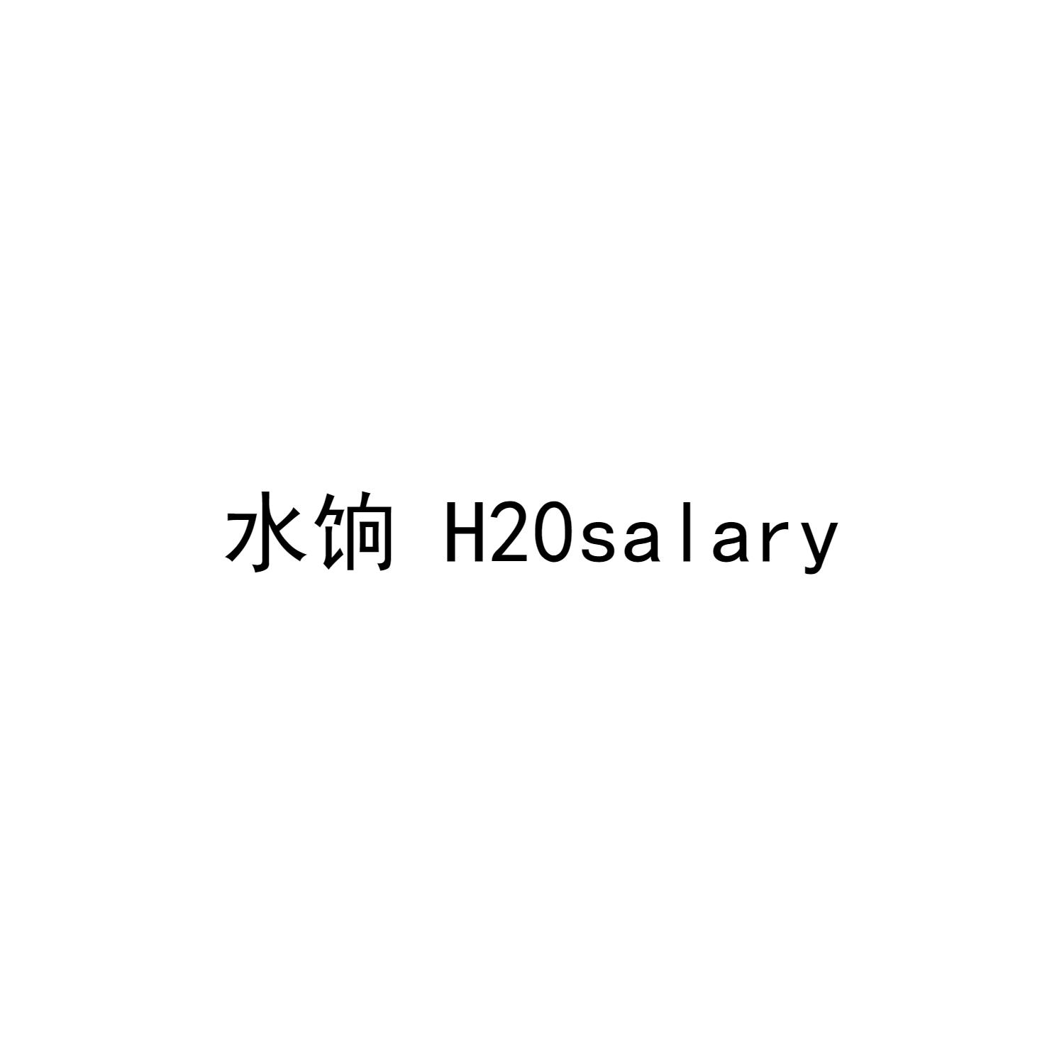 水饷 H20SALARY