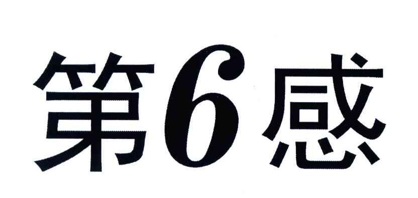 第6感