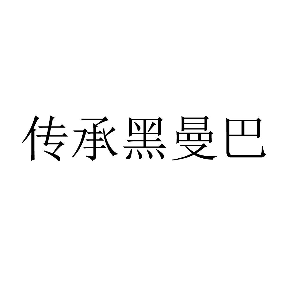 传承黑曼巴