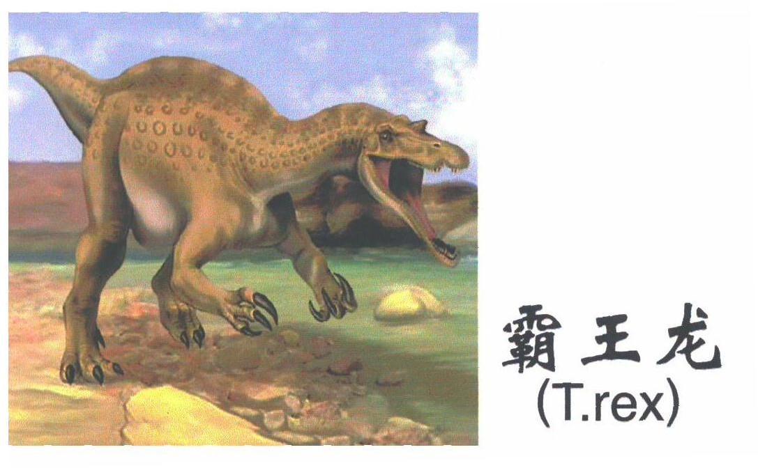 霸王龙;T.REX