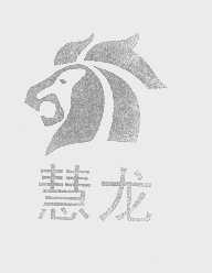 慧龙