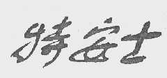 特安士