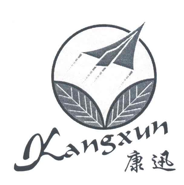康迅