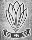 白玉兰