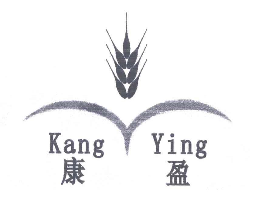 康盈