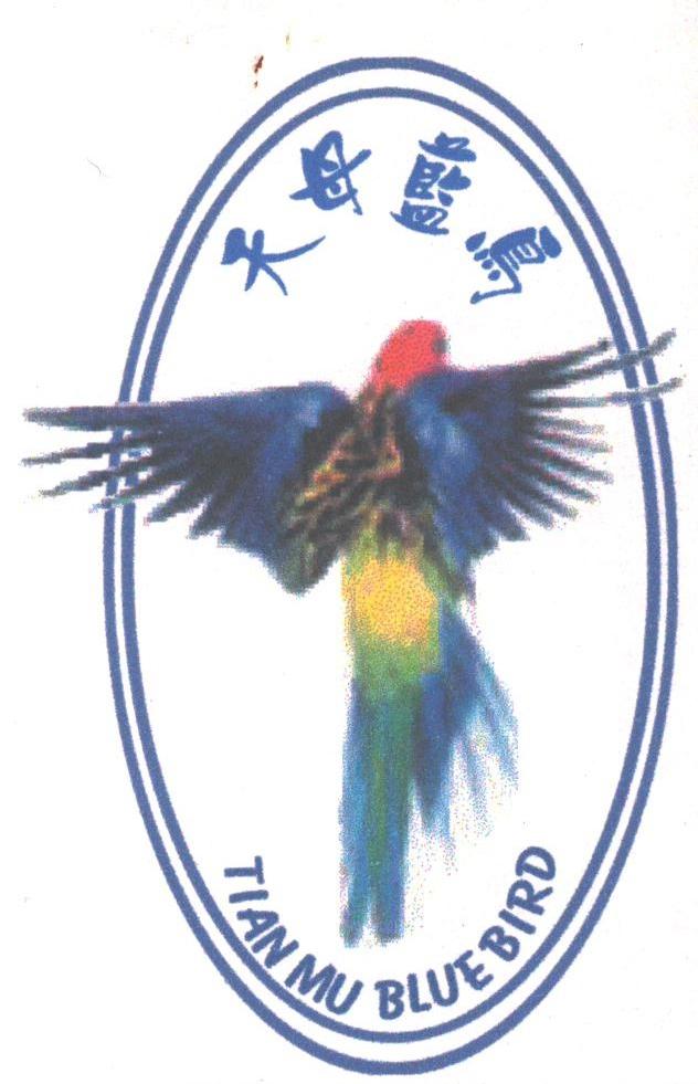 天母蓝鸟;TIAN MU BLUE BIRD