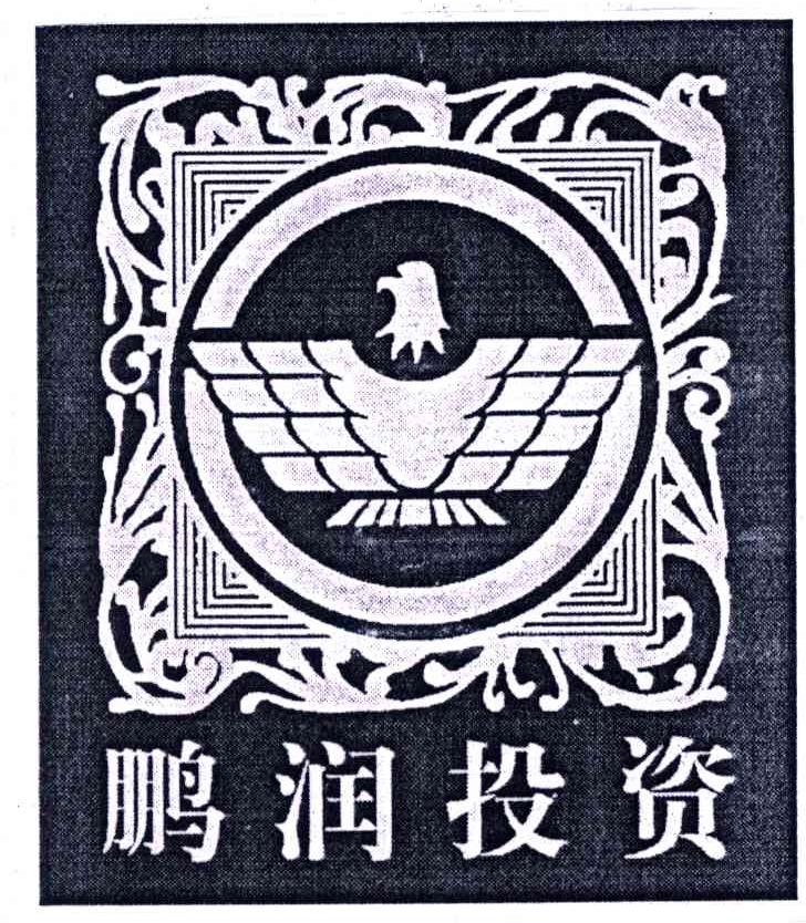 鹏润投资