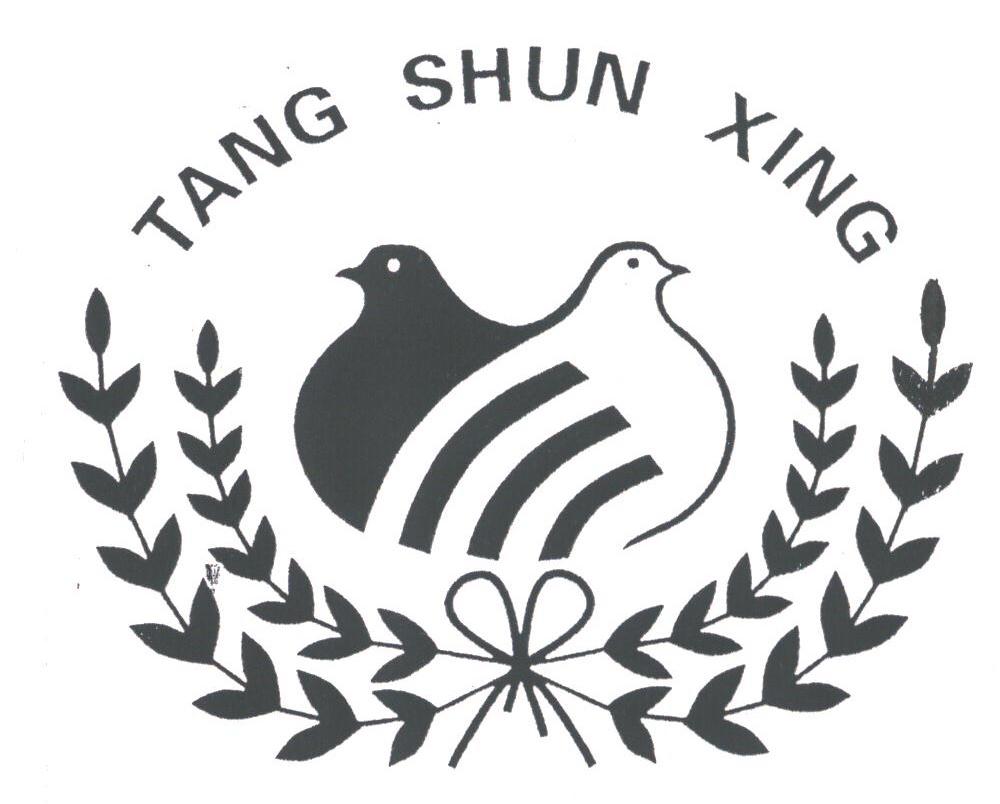 TANG SHUN XING