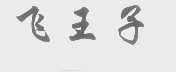 飞王子