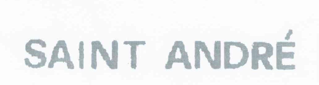 SAINT ANDRE