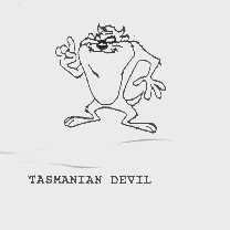 TASMANIAN DEVIL