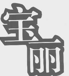 宝丽