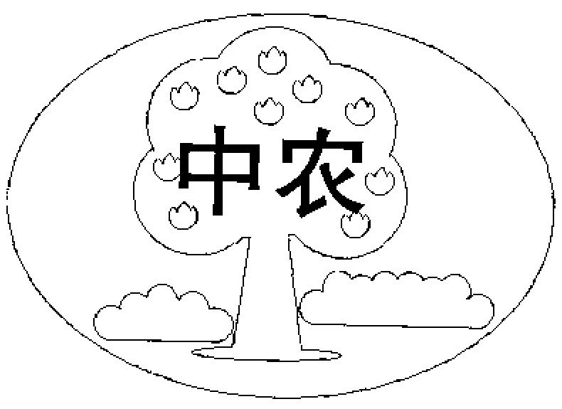 中农