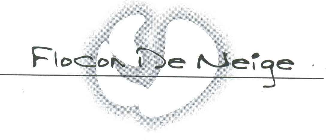 FLOCON DE NEIGE