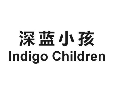 深蓝小孩 INDIGO CHILDREN