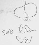 史奴比 SNB