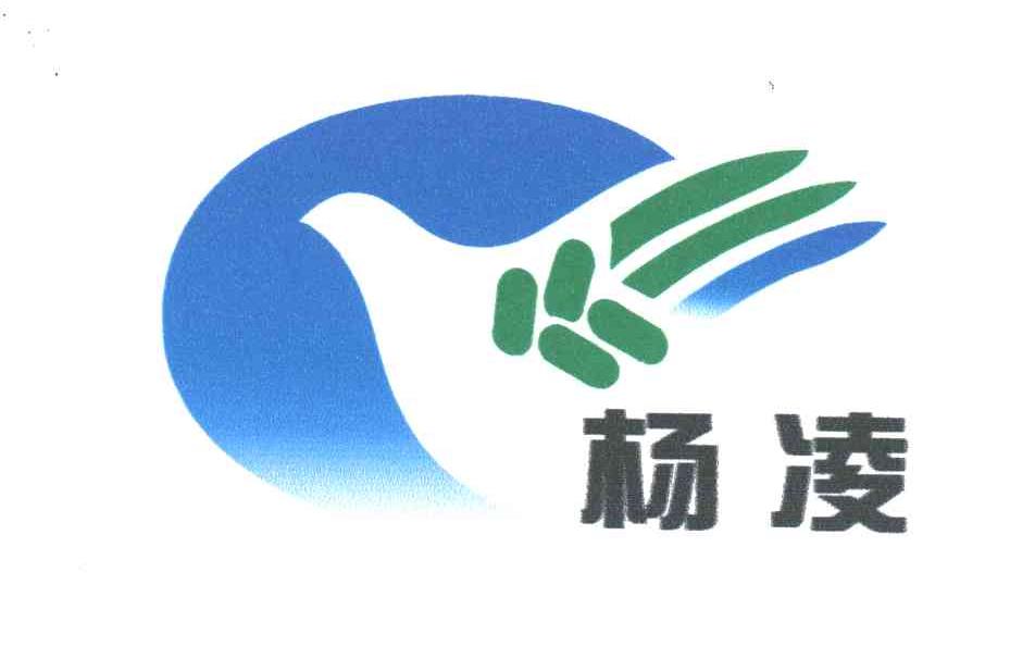 杨凌