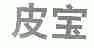 皮宝