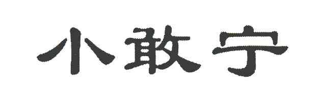 小敢宁