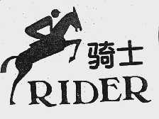 骑士  RIDER