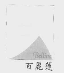 百丽莲   BELLINA