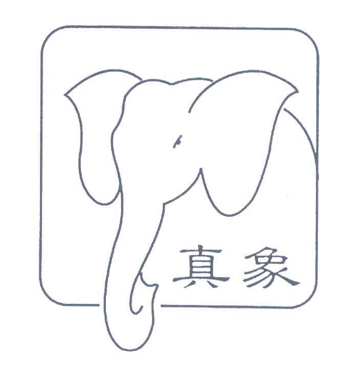 真象