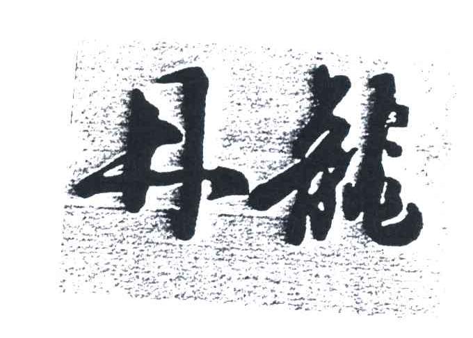 丹龙