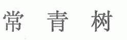 常青树