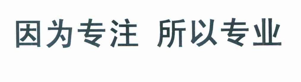因为专注所以专业