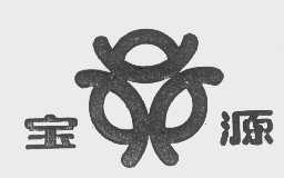 宝源