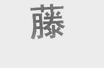 藤