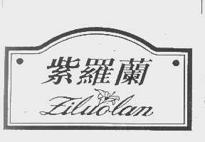 紫罗兰