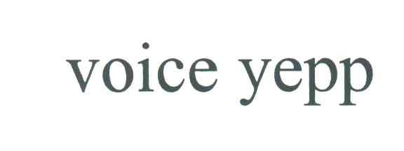 VOICEYEPP