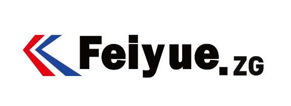 FEIYUE.ZG