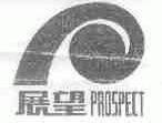 展望;PROSPECT