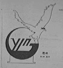 鹰